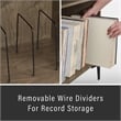 Crosley Furniture Sydney Modern MDF Wood Record Storage Media Console in Walnut