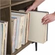 Crosley Furniture Sydney Modern MDF Wood Record Storage Media Console in Walnut