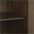 Crosley Furniture Byron MDF Wood and Steel Media Console in Dark Brown/Gold