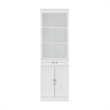 Crosley Furniture Stanton Traditional Wood/Metal Storage Bookcase in White
