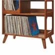 Asheville Medium Record Storage Console Walnut