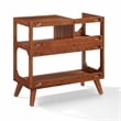 Asheville Medium Record Storage Console Walnut