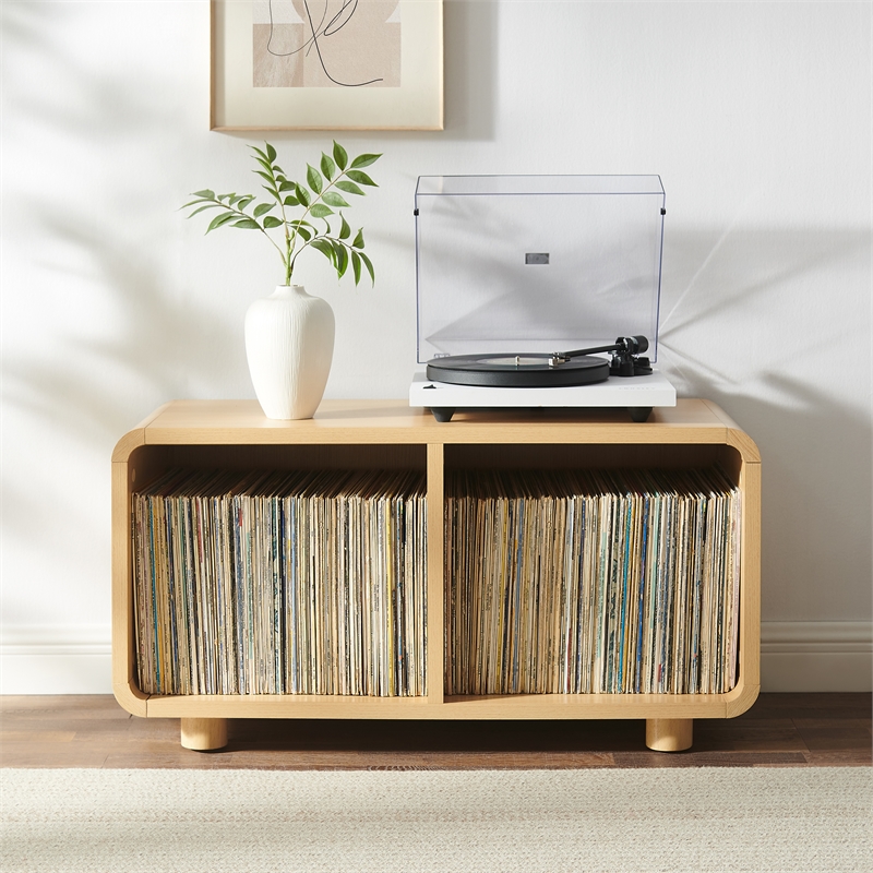 Crosley Furniture Zoe Medium Record Storage Console in Ash