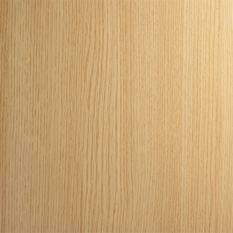 Crosley Furniture Zoe Medium Record Storage Console in Ash