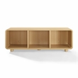 Crosley Furniture Zoe Large Record Storage Console in Ash