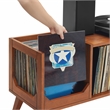 Crosley Furniture Asheville Low Record Storage Console in Walnut