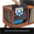 Crosley Furniture Asheville Low Record Storage Console in Walnut