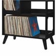 Crosley Furniture Asheville Medium Record Storage Console in Black