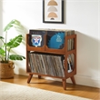 Crosley Furniture Asheville Medium Record Storage Stand in Walnut