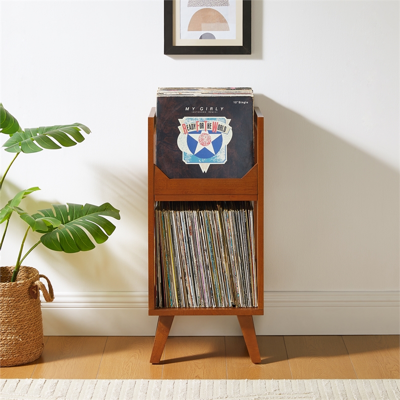 Crosley Furniture Asheville Small Record Storage Stand in Walnut