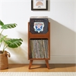 Crosley Furniture Asheville Small Record Storage Stand in Walnut