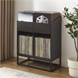 Crosley Furniture Enzo Medium Record Storage Stand in Black