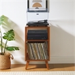 Crosley Furniture Asheville Record Player Stand in Walnut