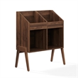 Crosley Furniture Luna Vinyl Record Storage Stand in Walnut