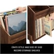 Crosley Furniture Luna Vinyl Record Storage Stand in Walnut