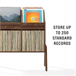 Crosley Furniture Luna Vinyl Record Storage Stand in Walnut