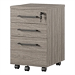 Ameriwood Parkside Mobile File Cabinet in Light Brown Oak