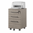 Ameriwood Parkside Mobile File Cabinet in Light Brown Oak