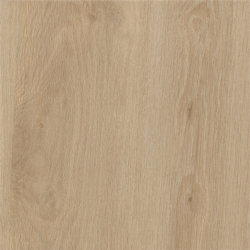 Ameriwood Home 6873847COM Sydney View Fireplace 70