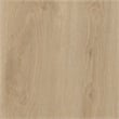Ameriwood Home 6873847COM Sydney View Fireplace 70