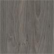 Ameriwood Home Camley Desk with Glass Top in 2 Drawers and Storage in Gray Oak