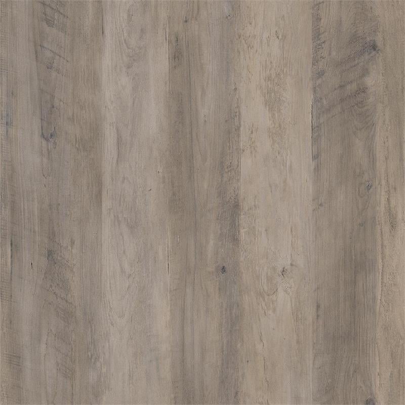 Systembuild Evolution Dwyer 2 Door Kitchen Pantry Cabinet in Gray Oak