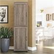 Systembuild Evolution Dwyer 2 Door Kitchen Pantry Cabinet in Gray Oak
