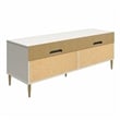 Ameriwood Home Mr. Kate Daphne Engineered Wood TV Console in Gray/Gold