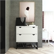 CosmoLiving by Cosmopolitan Brielle Entryway Shoe Storage in White