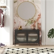 Mr. Kate Luna Wide 2-Door Accent Metal Cabinet with Fluted Glass in Black