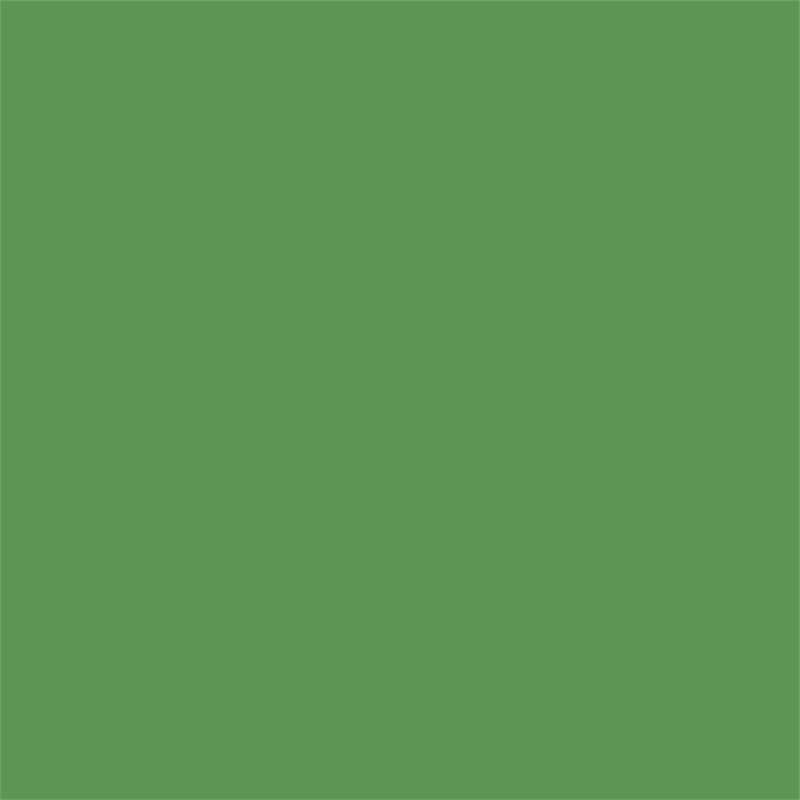 Ameriwood Home Novogratz Channing 2-Door Metal Storage Locker in Kelly Green