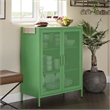 Ameriwood Home Novogratz Channing 2-Door Metal Accent Cabinet in Kelly Green