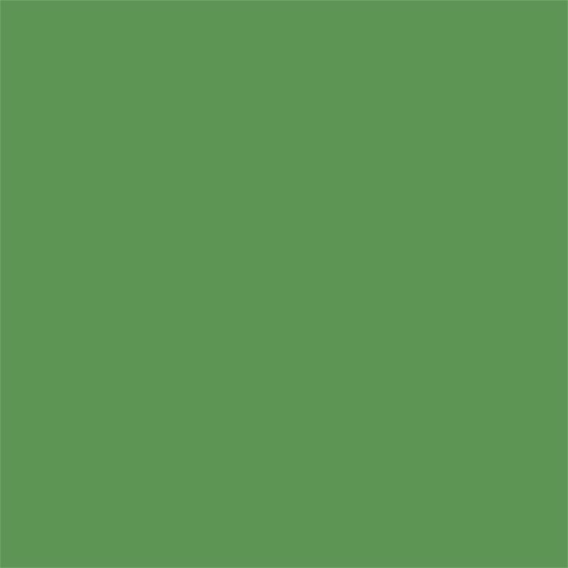 Ameriwood Home Novogratz Channing Metal Storage Cabinet Locker in Kelly Green