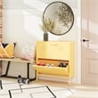 Ameriwood Home Novogratz Cache 2-Door Metal Shoe Storage Cabinet in Yellow