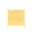 Ameriwood Home Novogratz Cache 2-Door Metal Shoe Storage Cabinet in Yellow