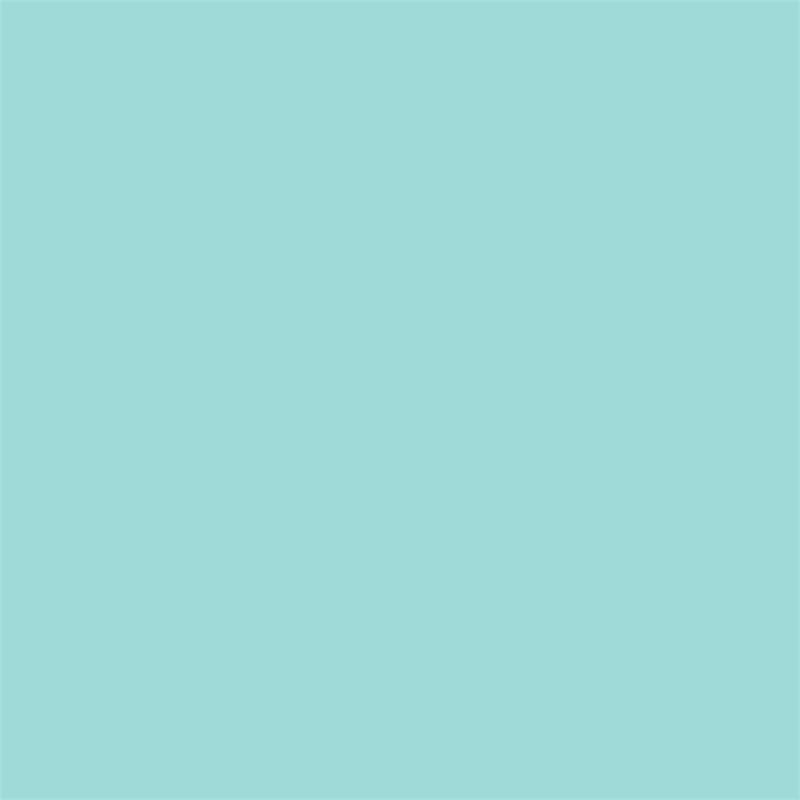 Ameriwood Home Novogratz Cache 2-Door Metal Shoe Storage Cabinet in Mint