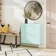 Ameriwood Home Novogratz Cache 2-Door Metal Shoe Storage Cabinet in Mint