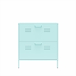 Ameriwood Home Novogratz Cache 2-Door Metal Shoe Storage Cabinet in Mint