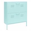 Ameriwood Home Novogratz Cache 2-Door Metal Shoe Storage Cabinet in Mint
