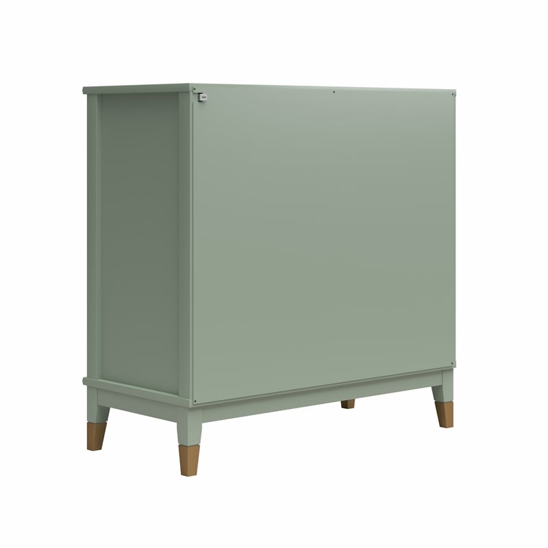 CosmoLiving by Cosmopolitan Westerleigh 2-Door Accent Cabinet in Pale Green