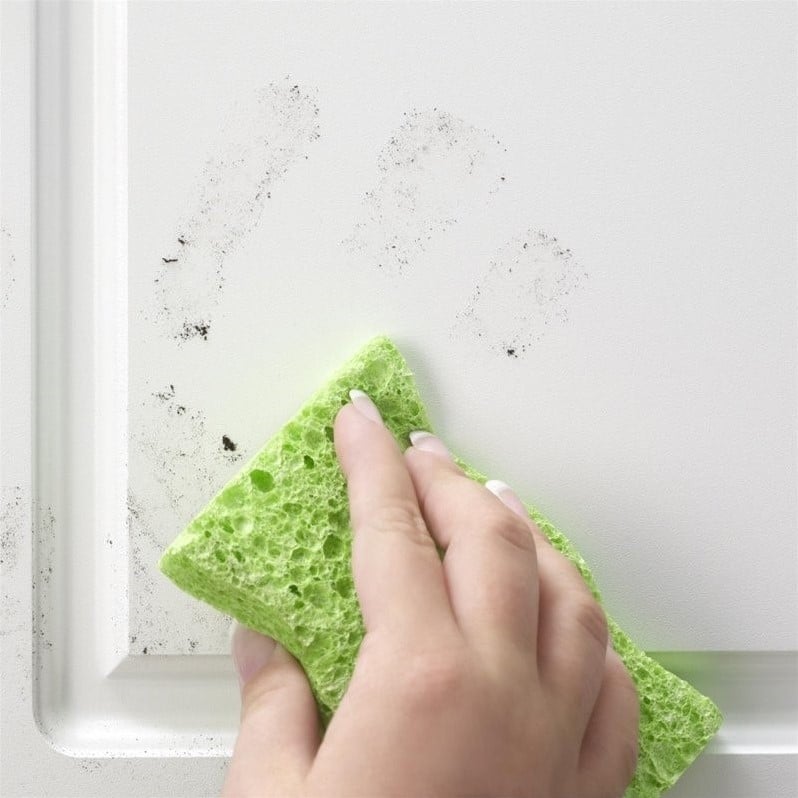 Systembuild Evolution Kendall 54