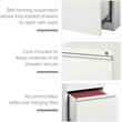 Hirsh (Set of 12) 20