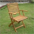 International Caravan Royal Fiji Set of 2 Patio Chair in Natural