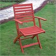 International Caravan Royal Fiji Set of 2 Patio Chair in Barn Red