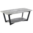 Convenience Concepts Graystone Coffee Table in Gray Faux Birch Wood Finish