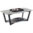 Convenience Concepts Graystone Coffee Table in Gray Faux Birch Wood Finish