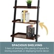 Convenience Concepts French Country Bookshelf Ladder in Dark Brown Walnut Wood