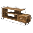 Seal II One-Drawer 60 inch TV Stand with Shelves in Nutmeg Wood Finish