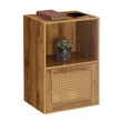 Xtra Storage Weave One-Door Cabinet with Shelf in Caramel Wood Frame Finish
