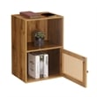 Xtra Storage Weave One-Door Cabinet with Shelf in Caramel Wood Frame Finish
